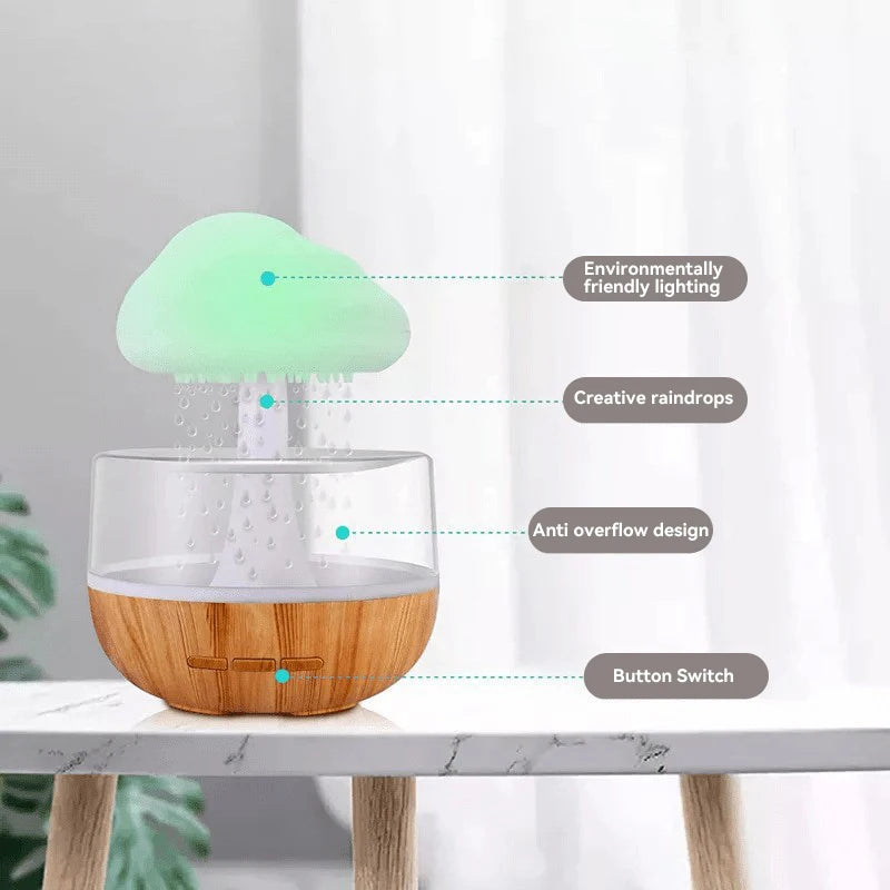 Rain Cloud Humidifier