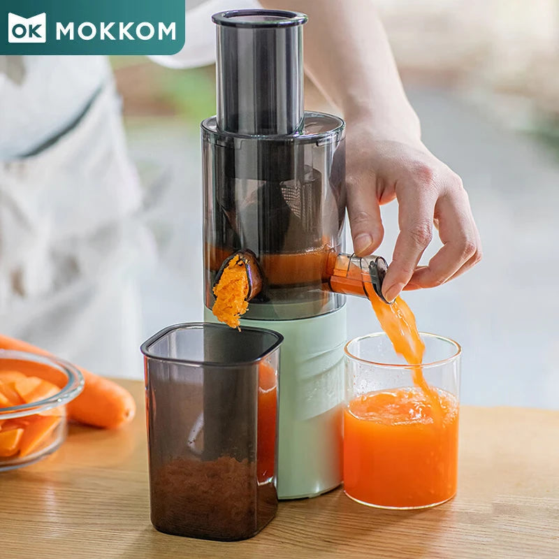 Electric Juicer Mini Fruit Blender