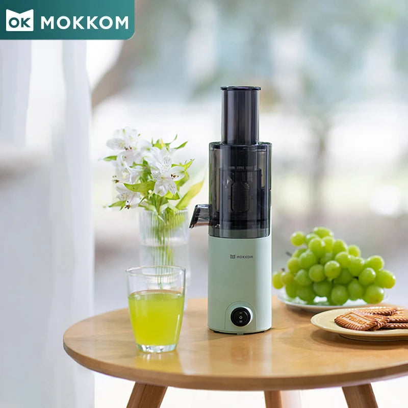 Electric Juicer Mini Fruit Blender